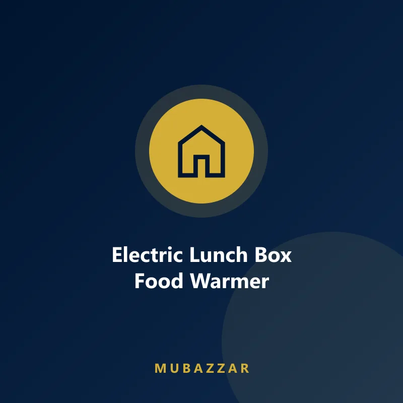 Electric lunch box